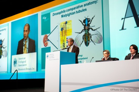 ©Photo Of The Day 365-109 of 365