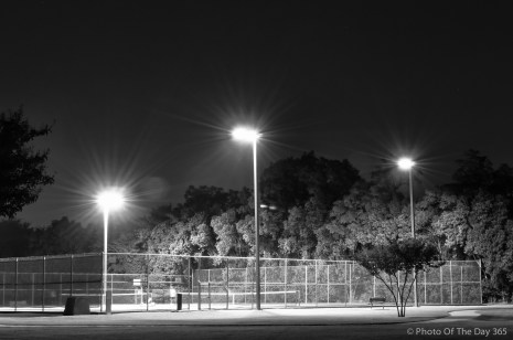 ©Photo Of The Day 365-159 of 365