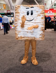 ©Photo Of The Day 365-165 of 365-3