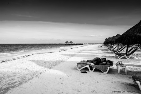 ©Photo Of The Day 365-171 of 365