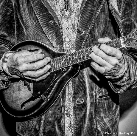 ©Photo Of The Day 365-172 of 365