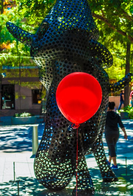 ©Photo Of The Day 365-177 of 365