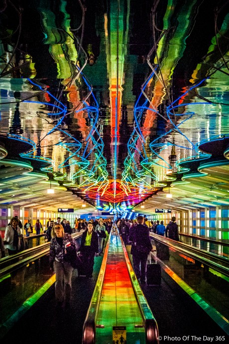 ©Photo Of The Day 365-178 of 365