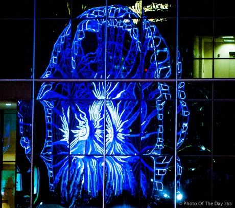 ©Photo Of The Day 365-179 of 365