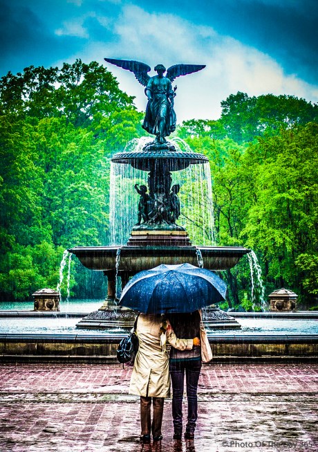 ©Photo Of The Day 365-181 of 365