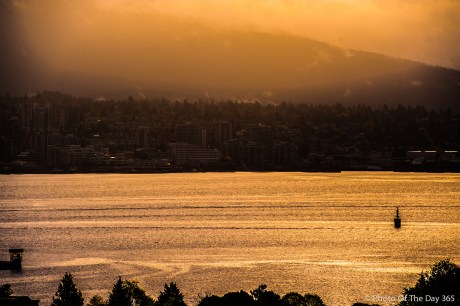 ©Photo Of The Day 365-182 of 365