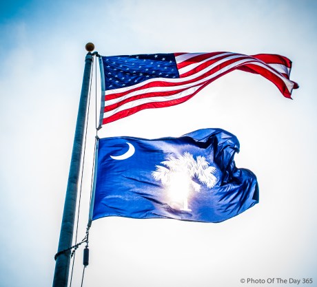 ©Photo Of The Day 365-183 of 365