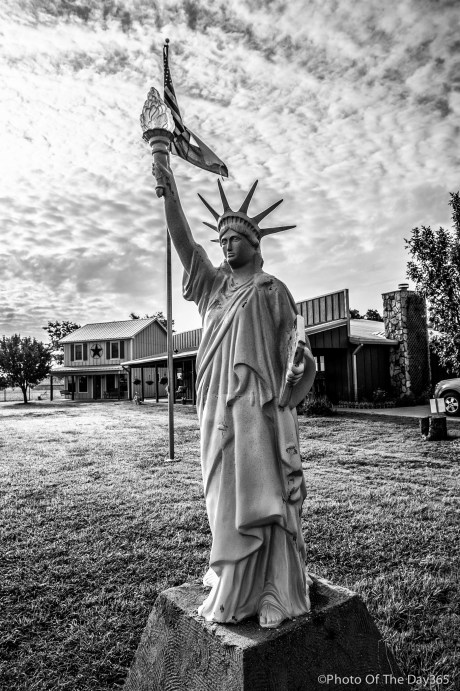 ©Photo Of The Day 365-184 of 365