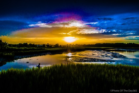 ©Photo Of The Day 365-187 of 365