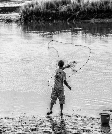 ©Photo Of The Day 365-188 of 365