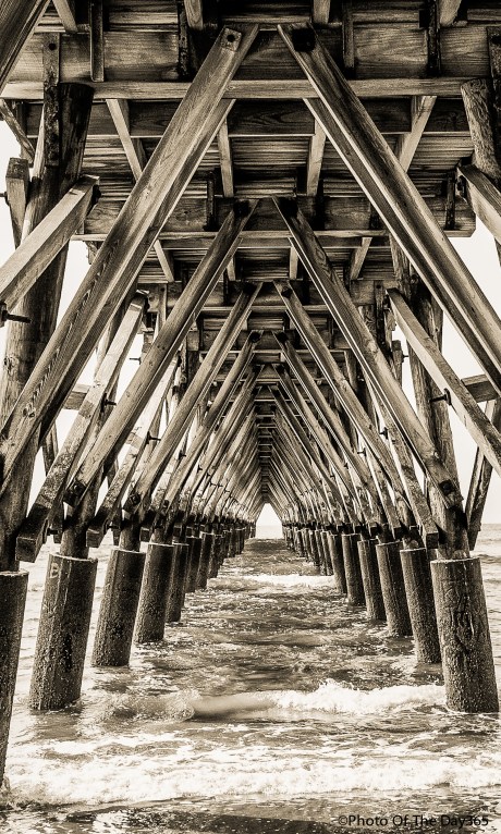 ©Photo Of The Day 365-191 of 365