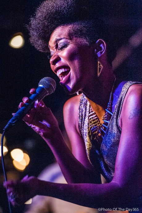 ©Photo Of The Day 365-193 of 365