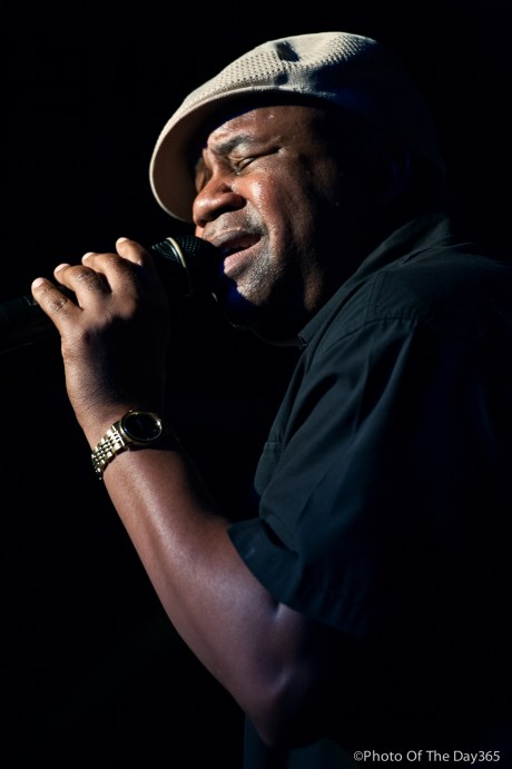 ©Photo Of The Day 365-194 of 365