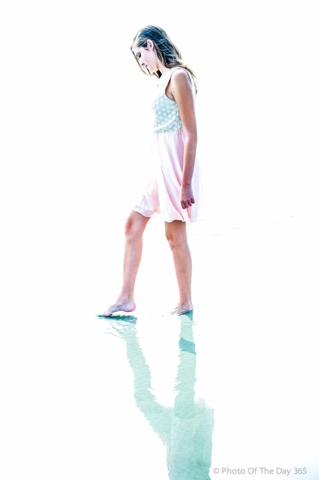 ©Photo Of The Day 365-199 of 365