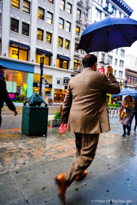 ©Photo Of The Day 365-203 of 365