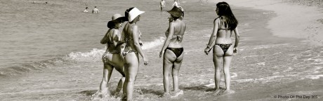 ©Photo Of The Day 365-205 of 365