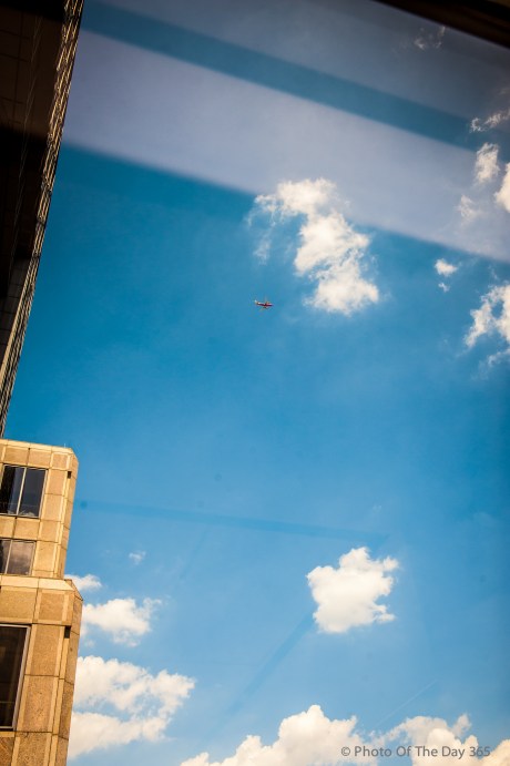 ©Photo Of The Day 365-210 of 365