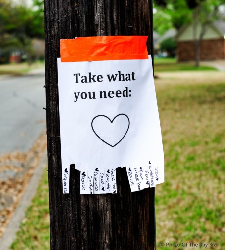 ©Photo Of The Day 365-215 of 365