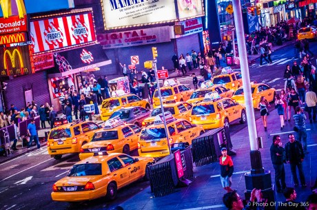 ©Photo Of The Day 365-216 of 365