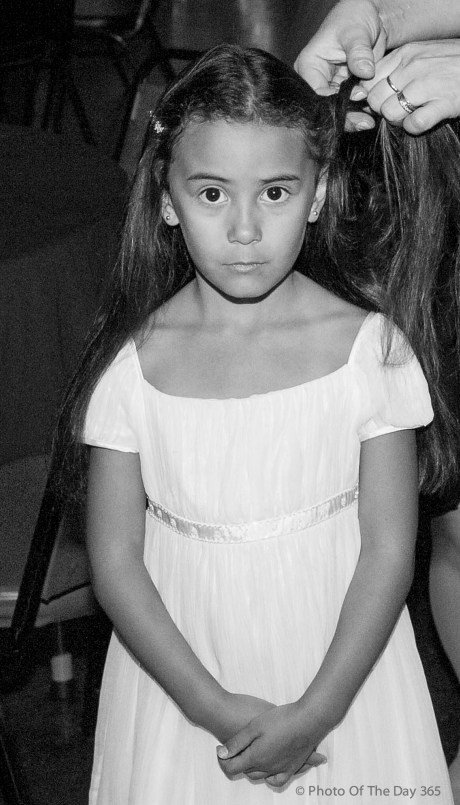 ©Photo Of The Day 365-219 of 365