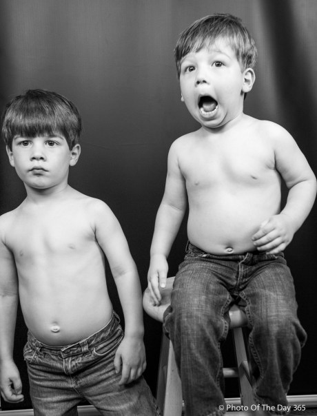 ©Photo Of The Day 365-222 of 365