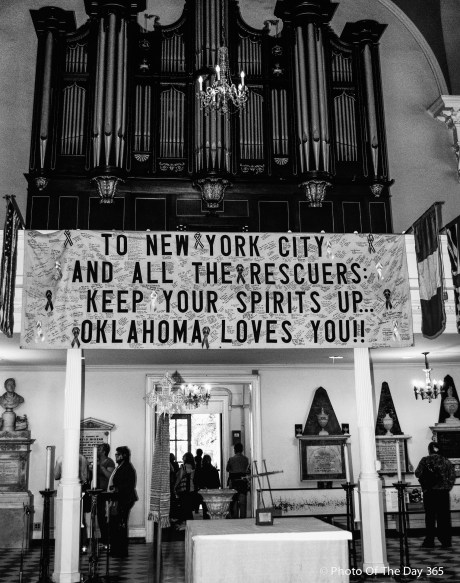 ©Photo Of The Day 365-223 of 365