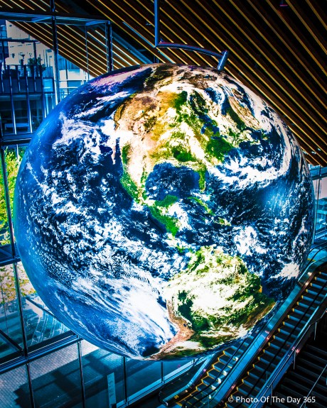 ©Photo Of The Day 365-224 of 365