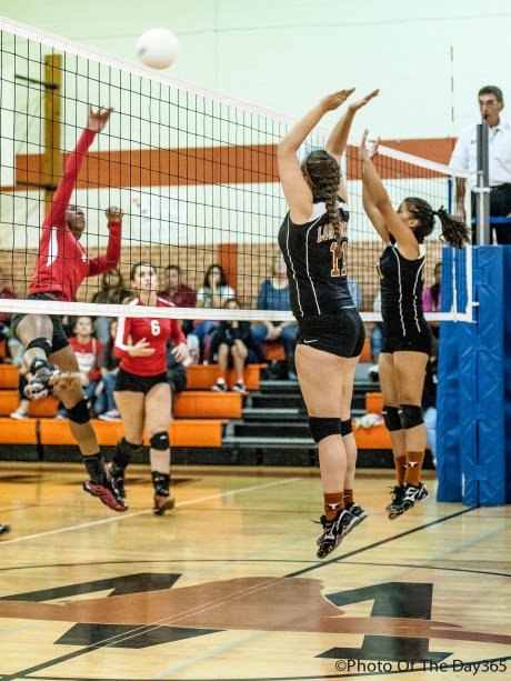 ©Photo Of The Day 365-225 of 365