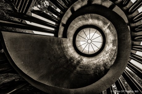 ©Photo Of The Day 365-228 of 365