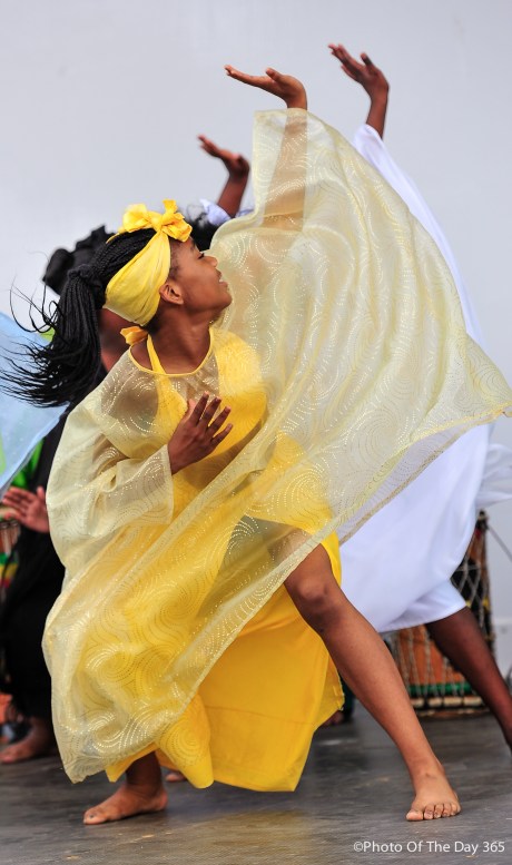 ©Photo Of The Day 365-233 of 365