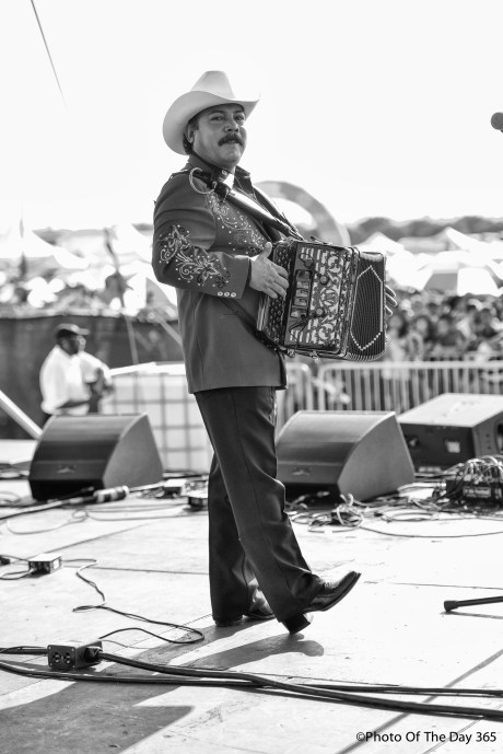 ©Photo Of The Day 365-234 of 365-2