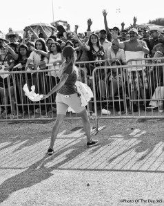 ©Photo Of The Day 365-234 of 365-3