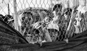 ©Photo Of The Day 365-234 of 365-4