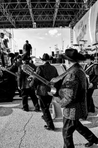 ©Photo Of The Day 365-234 of 365-8