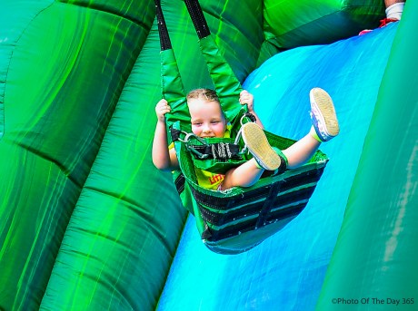 ©Photo Of The Day 365-235 of 365