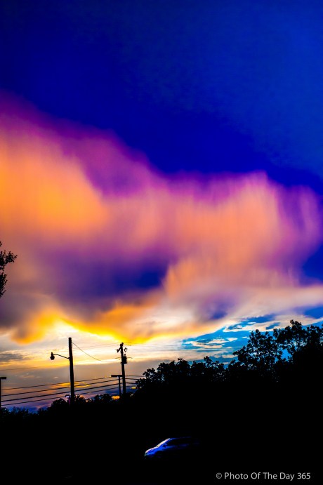 ©Photo Of The Day 365-236 of 365