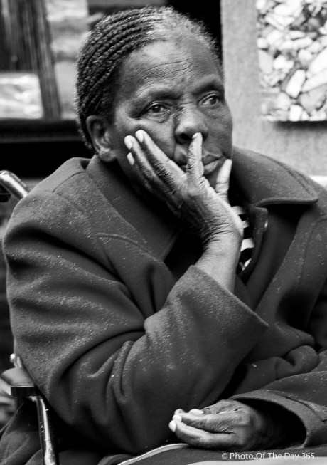 ©Photo Of The Day 365-237 of 365