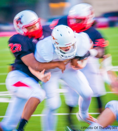 ©Photo Of The Day 365-239 of 365