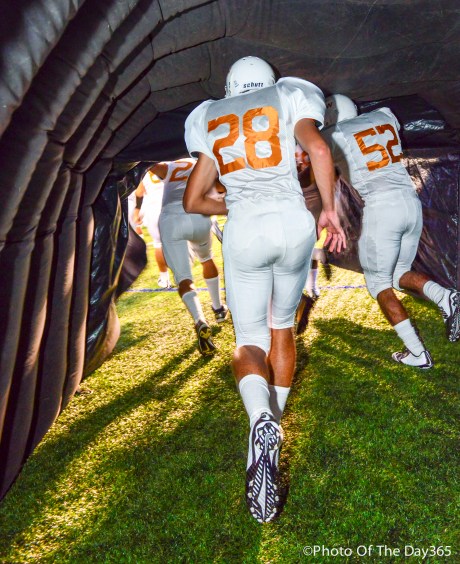 ©Photo Of The Day 365-246 of 365