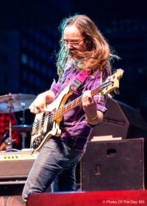 ©Photo Of The Day 365-247 of 365-4