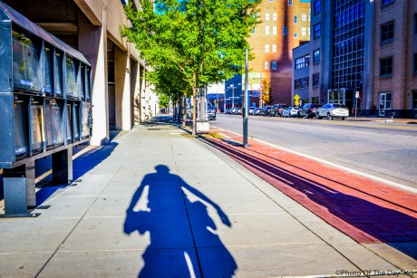 ©Photo Of The Day 365-248 of 365