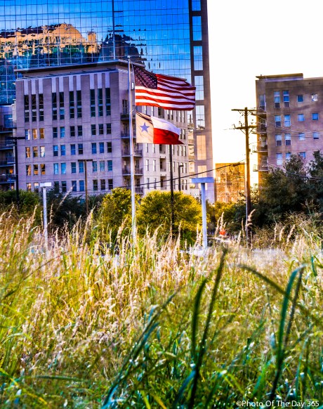 ©Photo Of The Day 365-250 of 365