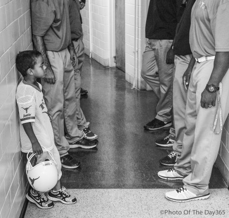 ©Photo Of The Day 365-254 of 365