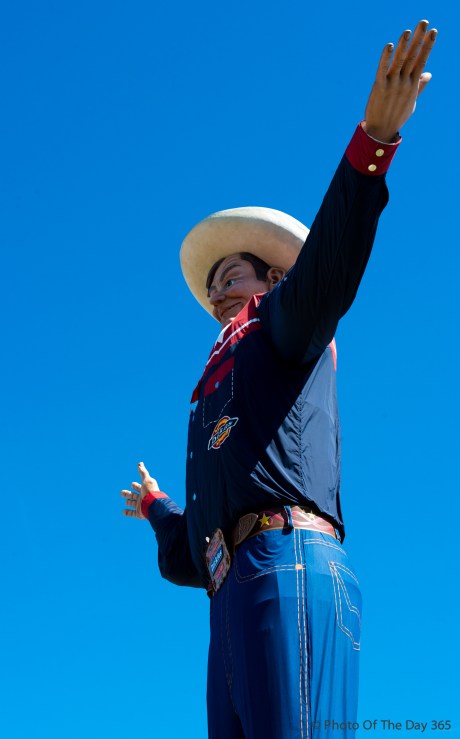 ©Photo Of The Day 365-260 of 365-1