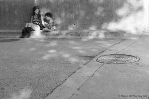 ©Photo Of The Day 365-260 of 365-12