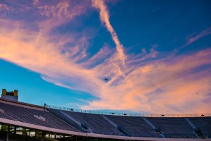 ©Photo Of The Day 365-260 of 365-14