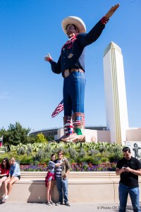 ©Photo Of The Day 365-260 of 365-2