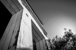 ©Photo Of The Day 365-260 of 365-5