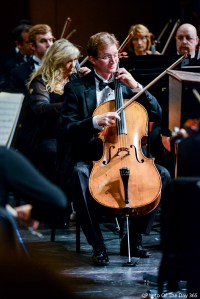 ©Photo Of The Day 365-261 of 365-4