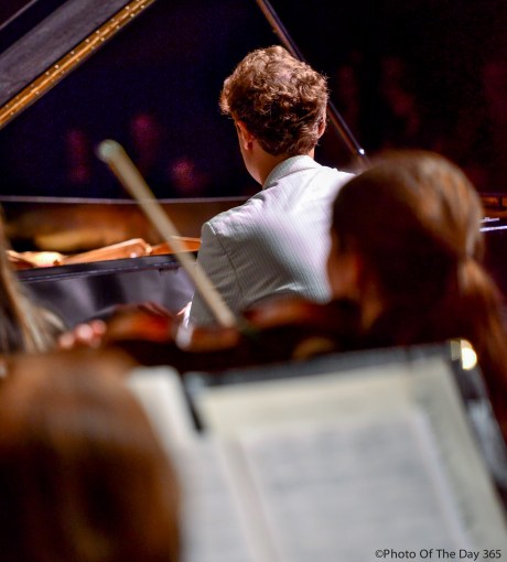 ©Photo Of The Day 365-262 of 365